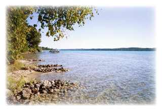 Birch trees along the shore of Torch Lake